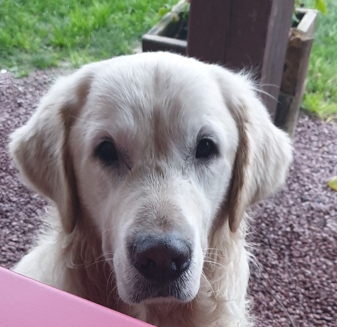 Accès Infirmiers Blaye